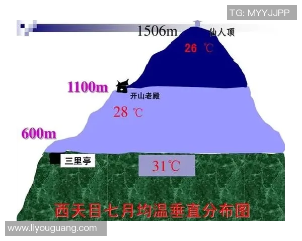 杭州篮球队防守策略分析及其对比赛结果的影响探讨
